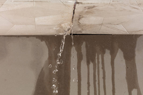 Professional Burst Pipe Cleanup technician working in Mooseheart, IL